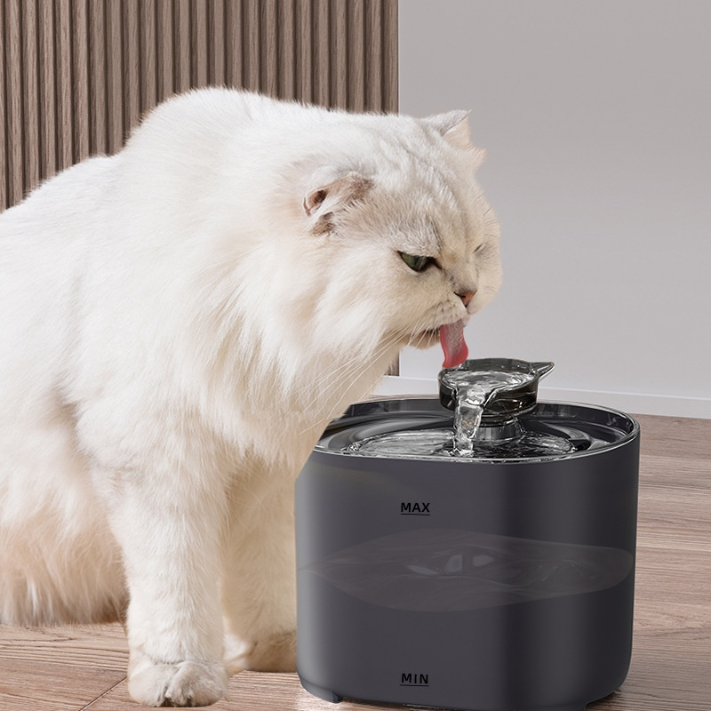 Feeding and Water
