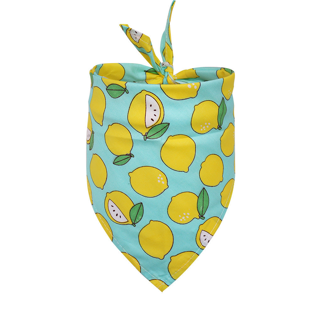 Fruit Print Dog Bandana